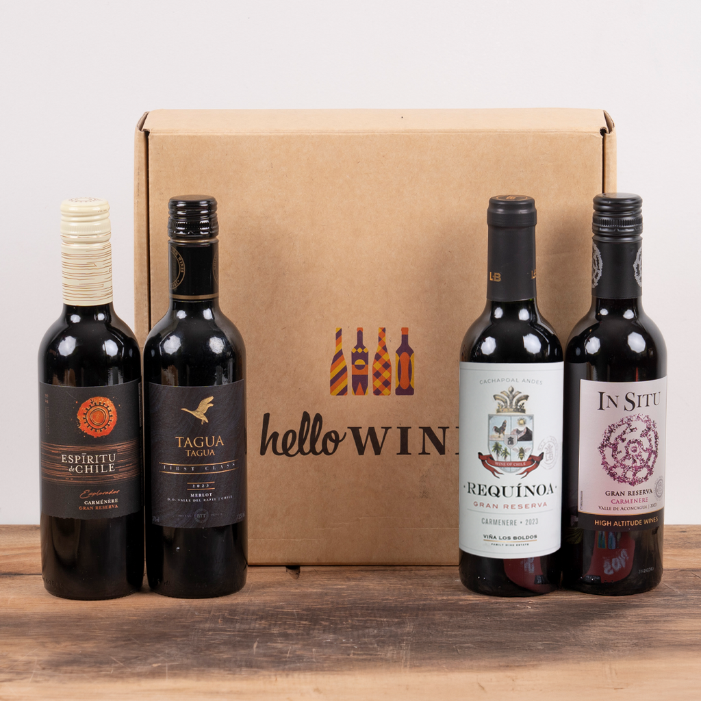 Caja Regalo Hellowine: "Buscadora"