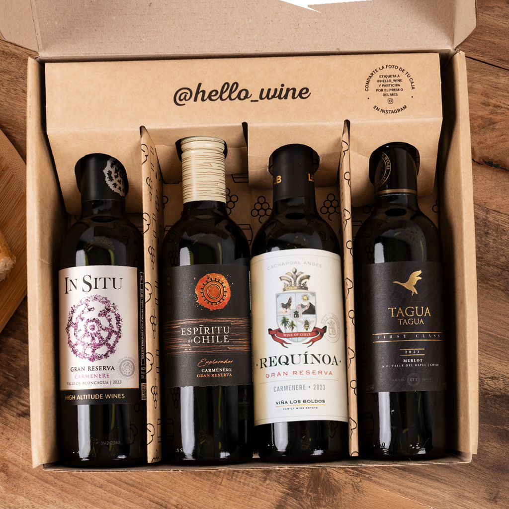 Caja Regalo Hellowine: "Buscadora"