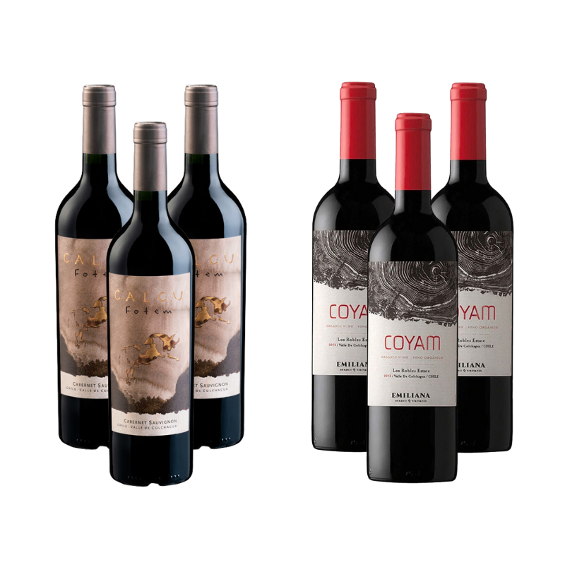 Pack 3 Vinos Calcu Fotem + 3 Vinos Coyam Ensamblaje